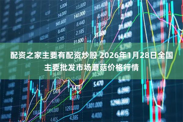 配资之家主要有配资炒股 2026年1月28日全国主要批发市场蘑菇价格行情