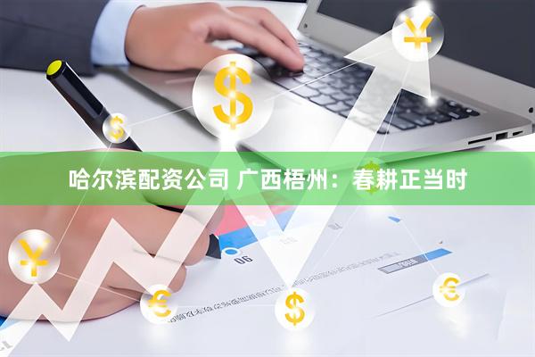 哈尔滨配资公司 广西梧州：春耕正当时